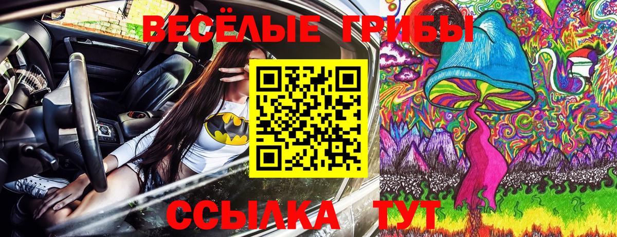 Кохма  Галлюциногенные грибы мухоморы  Галлюциногенные грибы MAGIC MUSHROOMS  Вход с VPN 